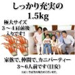 画像3: 特選 ずわいがに 脚 1.5kg (バルダイ種) (3)