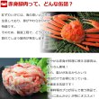 画像2: 紅ずわいがに 赤身脚肉 缶詰（125g缶） 10缶入 (2)