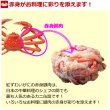 画像3: 紅ずわいがに 赤身脚肉 缶詰（125g缶） 5缶ギフト箱入 (3)