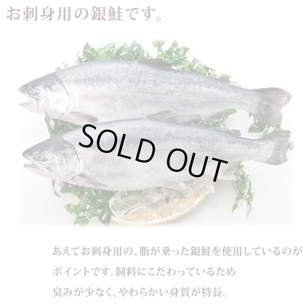 画像4: 南三陸産 銀鮭の醤油煮 缶詰 (90g缶) 48缶入 (4)