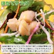 画像11: かに・ほたて缶詰ギフトＢセット（本ずわいがに脚肉くずれ缶詰(65g)3缶・国産ほたて貝柱缶詰(80g)3缶【80gF3】） (11)