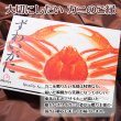 画像7: ずわいがに 切れ目入 (1kg) (7)