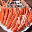 画像17: ずわいがに 切れ目入 (1kg) (17)
