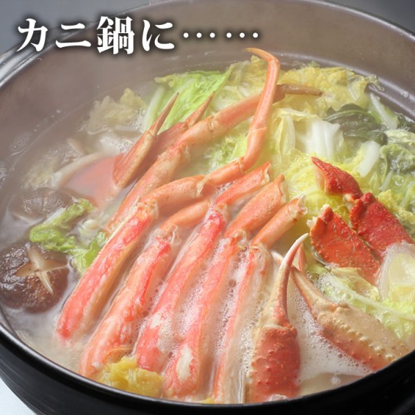 画像2: ボイルずわいがに棒ポーション500g (4Lサイズ) (2)