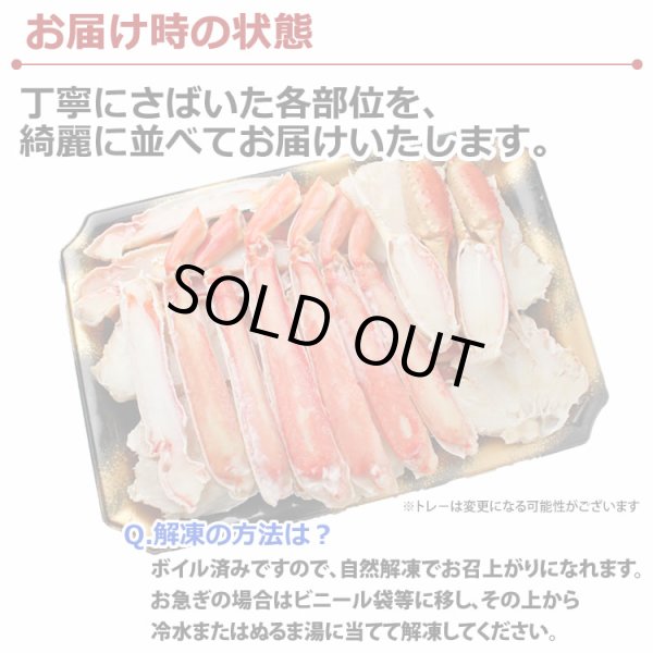 画像7: カット済み ずわいがに (700g) (7)