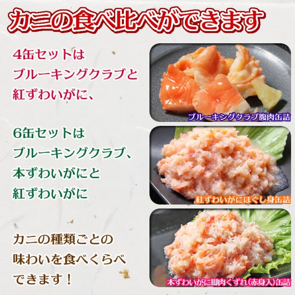 画像5: 水産缶詰ミニバラエティセット（カニ缶詰・牡蠣・銀鮭）６缶ギフト箱入 (5)