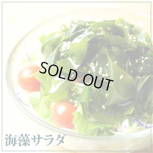 画像4: 三陸産 肉厚わかめ 5パック（クール冷蔵便出荷） (4)