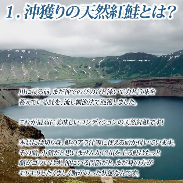 画像4: 沖獲り 天然紅鮭 姿 切り身 (4)