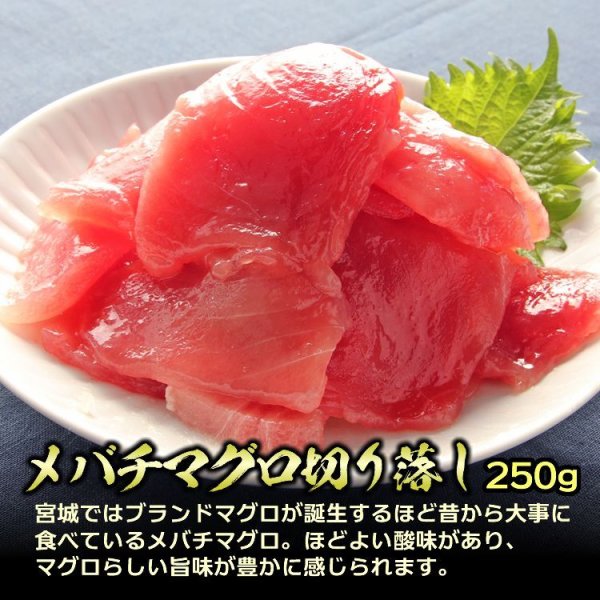 画像3: まぐろ三種盛り 800g (メバチマグロ 250g・ビンチョウマグロ 250g・まぐろたたき 300g)  (3)