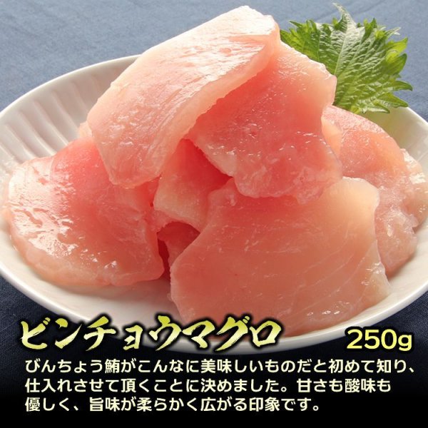 画像4: まぐろ三種盛り 800g (メバチマグロ 250g・ビンチョウマグロ 250g・まぐろたたき 300g)  (4)