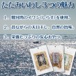 画像3: 天日干し 駿河湾産 炙り たたみいわし ３種セット (3)