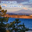 画像12: 天日干し 駿河湾産 炙り たたみいわし ３種セット (12)
