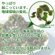 画像8: 原そう三陸産 わかめ　湯通し塩蔵　乾燥タイプ (50g) (8)