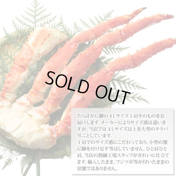 画像4: 特大型 たらばがに脚 4Lサイズ × 3肩 (4)