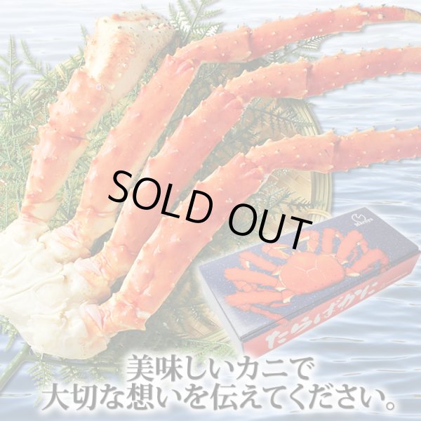 画像15: 特大型 たらばがに脚 4Lサイズ (15)