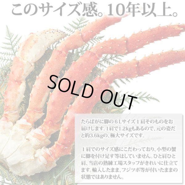 画像5: 極大型 たらばがに脚 6Lサイズ (5)