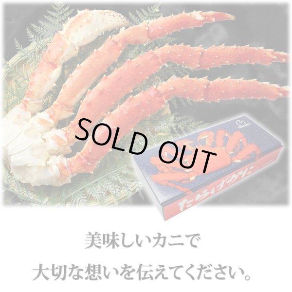 画像15: 極大型 たらばがに脚 6Lサイズ (15)