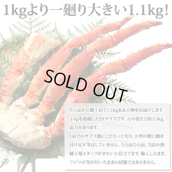 画像5: 特大 たらばがに 脚 EXサイズ （1.1kg） (5)