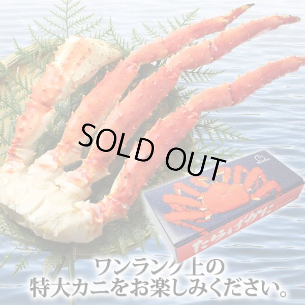 画像15: 特大 たらばがに 脚 EXサイズ （1.1kg） (15)