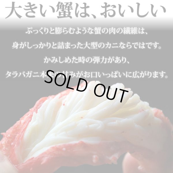 画像3: 極大型 たらばがに脚 6Lサイズ (3)