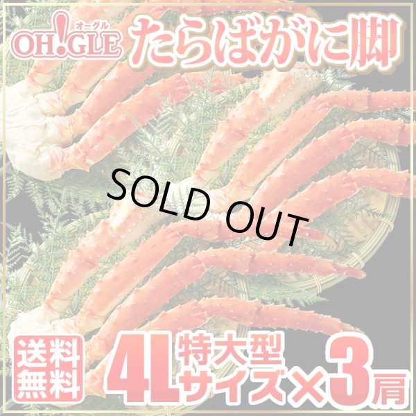 画像1: 特大型 たらばがに脚 4Lサイズ × 3肩 (1)