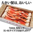 画像8: 特特大 ずわいがに 脚 3kg 【5L・6Lサイズ】 (8)