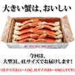 画像10: 特大 ずわいがに 脚 3kg (3L・4Lサイズ) (10)