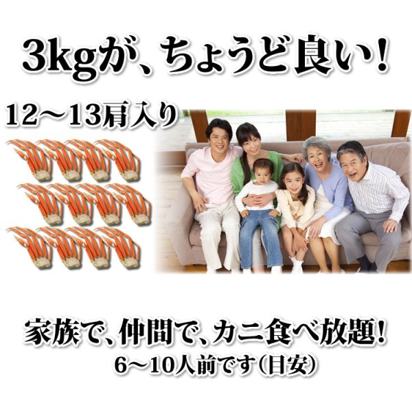 画像3: 特大 ずわいがに 脚 3kg 【3Lサイズ】 (3)