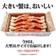 画像8: 特大 ずわいがに 脚 3kg 【3Lサイズ】 (8)