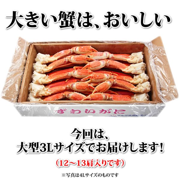 画像8: 特大 ずわいがに 脚 3kg 【3Lサイズ】 (8)