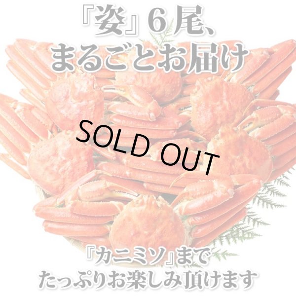画像8: ずわいがに 姿 6尾入 (8)