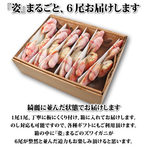 画像9: ずわいがに 姿 6尾入 (9)