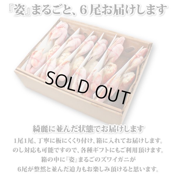 画像9: ずわいがに 姿 6尾入 (9)