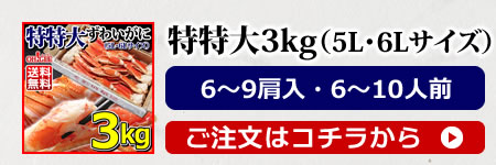 特特大3kg