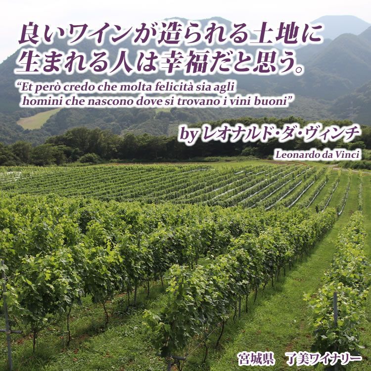 良いワインが造られる土地に生まれる人は幸福だと思う。