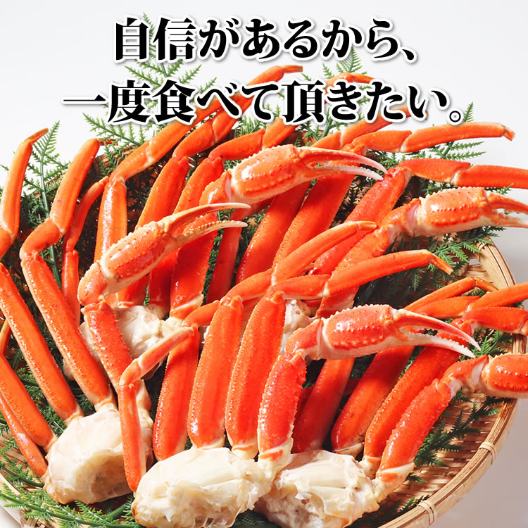 ずわいがに　カニ缶詰のOH!GLE(オーグル)　1kg　脚　本店