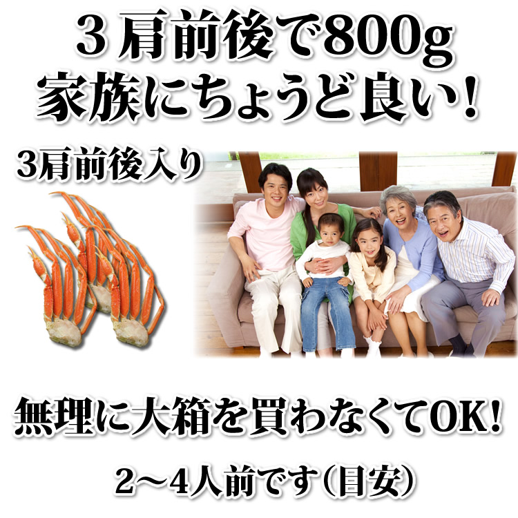 800gは家族向け！