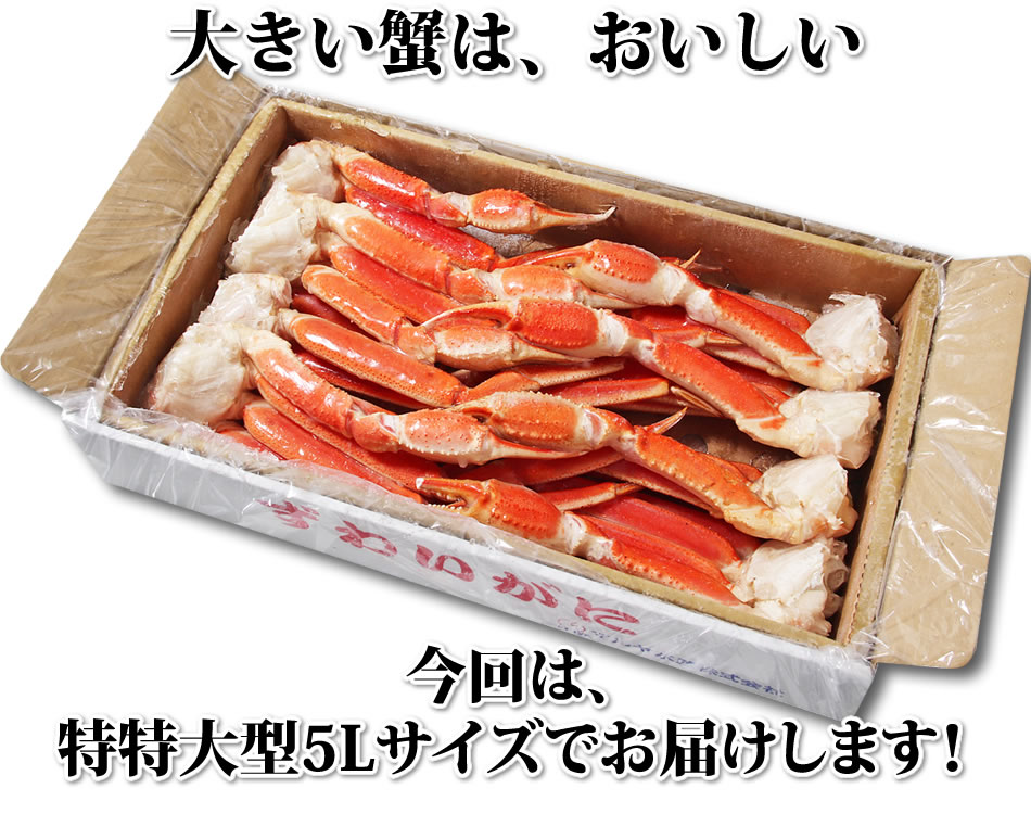 大きい蟹はおいしい