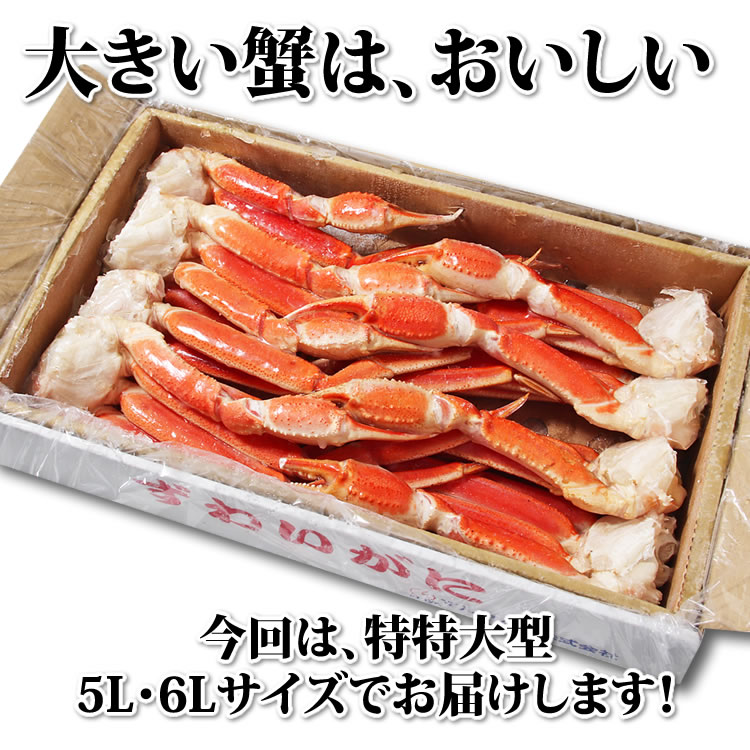 ずわいがに　3kg　本店　【5L・6Lサイズ】　カニ缶詰のOH!GLE(オーグル)　特特大　脚