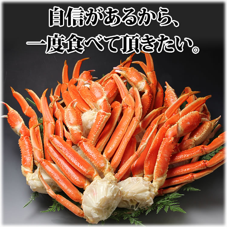 特特大 ずわいがに 脚 3kg 【5L・6Lサイズ】 - カニ缶詰のOH!GLE
