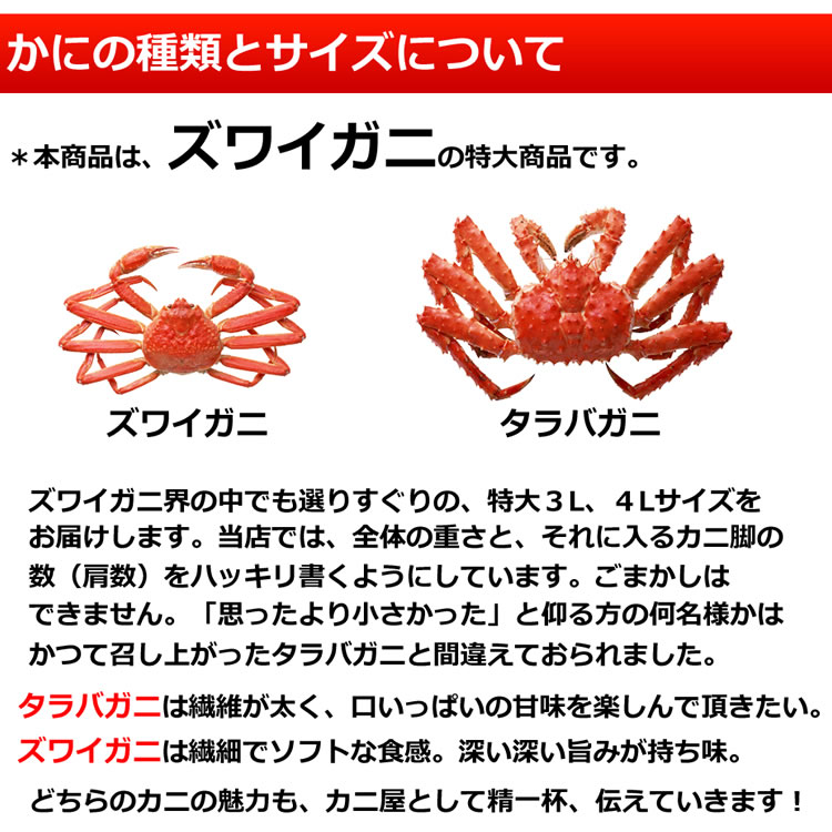 カニの種類とサイズについて