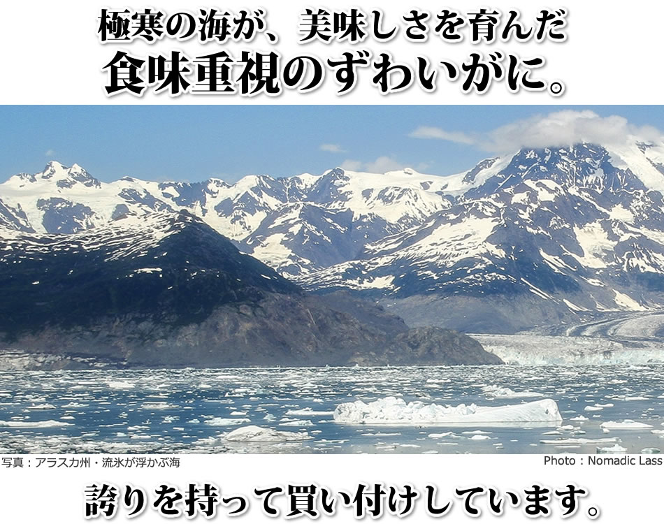 極寒の海